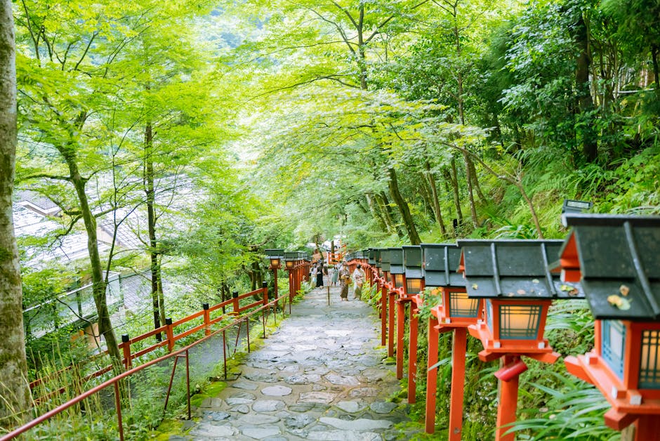 Want to walk Shikoku but can't — open paths to pilgrimage for those unable to go