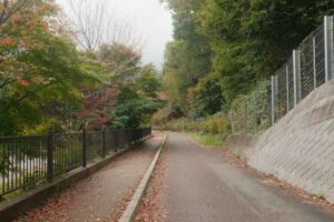 Quiet scene of considering ohenro pilgrimage meaning for older people