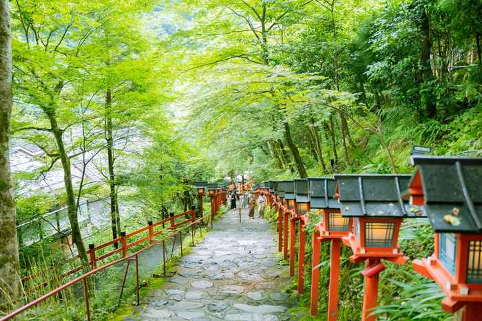 Shikoku pilgrimage path representing a thousand-year tradition of memorial tribute