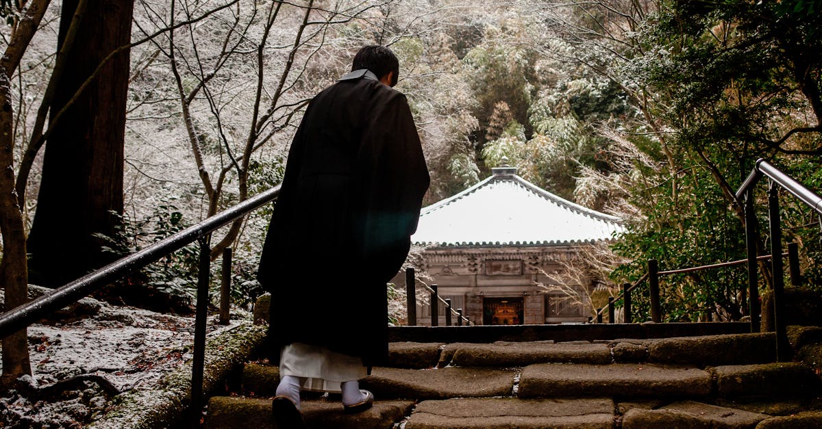 A pilgrim walking the Shikoku ohenro path, carrying tsuizen-kuyo prayers toward the next temple