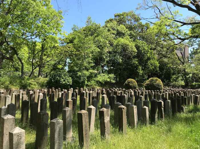 Quiet scene of comparing grave-visit proxy and ohenro proxy