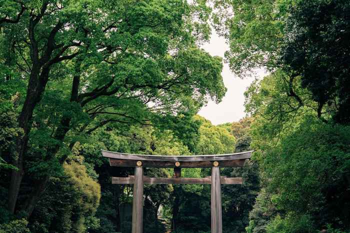 Quiet scene of considering shrine vs temple for ganakake