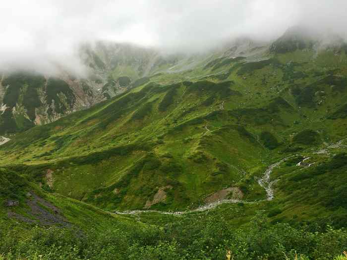 歩き遍路の山道と緑の景色
