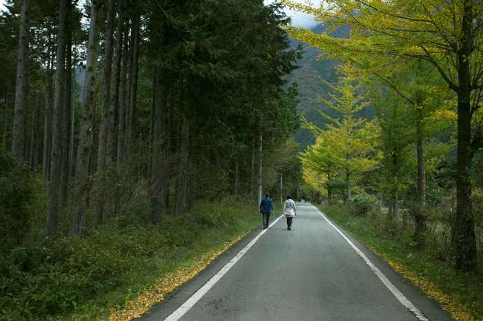 紅葉の遍路道を歩く姿