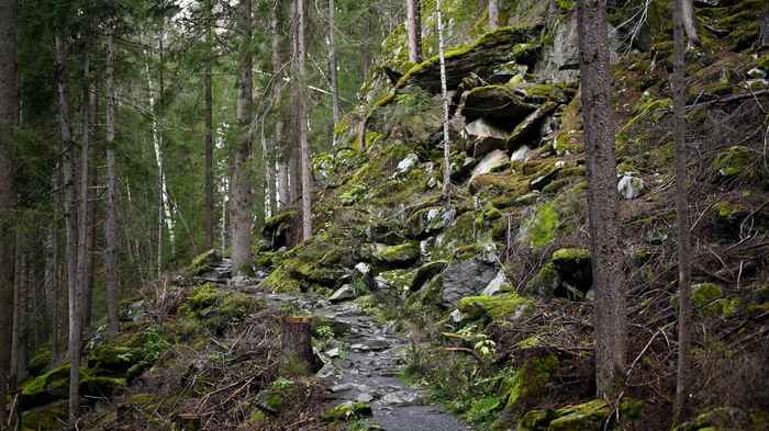 歩き遍路の難易度は本当に高い？遍路道の難所と初心者の現実